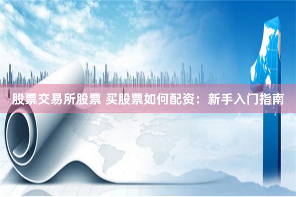 股票交易所股票 买股票如何配资：新手入门指南