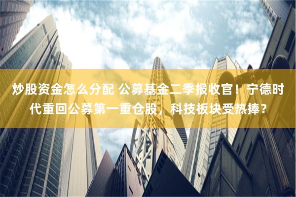 炒股资金怎么分配 公募基金二季报收官！宁德时代重回公募第一重仓股，科技板块受热捧？