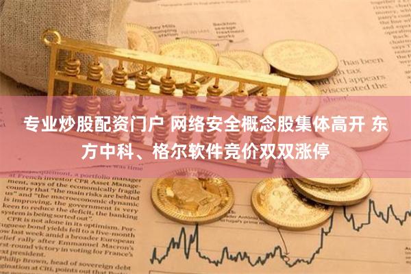 专业炒股配资门户 网络安全概念股集体高开 东方中科、格尔软件竞价双双涨停